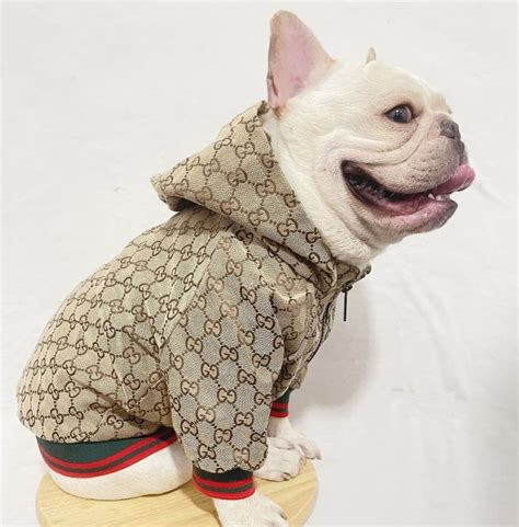 gucci slides for dogs|gucci designer dog clothing.